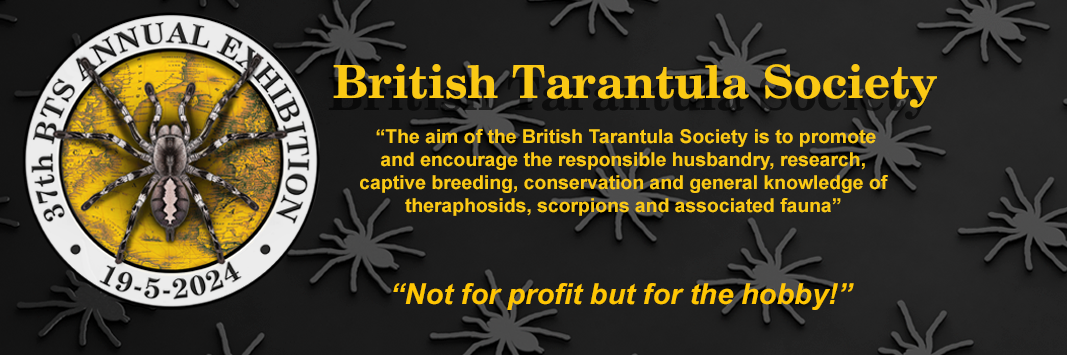 Members of The British Tarantula Society