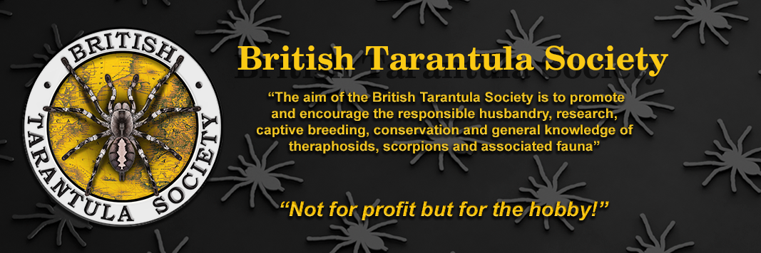 Members of The British Tarantula Society