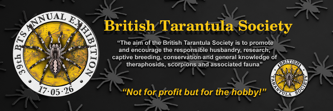 Members of The British Tarantula Society